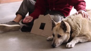 Parası olan evsiz bir adam, karton ev figürü ve sokak köpeği, kamera ilerliyor.