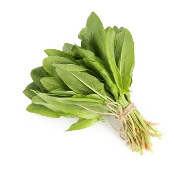 Beyaz, üst manzara izole taze yeşil kuş yaprakları