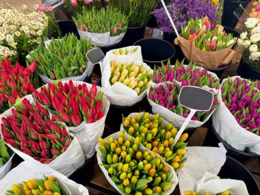 Çiçekçide çeşitli güzel çiçekler var, manzaranın üstünde.