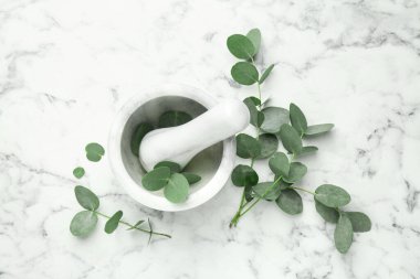 Güzel okaliptüs dalları, beyaz mermer zemin üzerinde havan ve tokmak, üst manzara