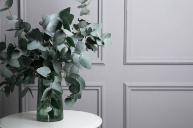 Gri duvarın yanındaki masada vazoda güzel okaliptüs dalları var.