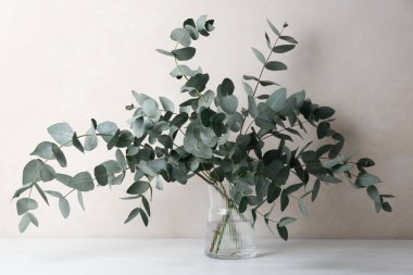 Açık gri duvarın yanındaki masada vazoda güzel okaliptüs dalları var.