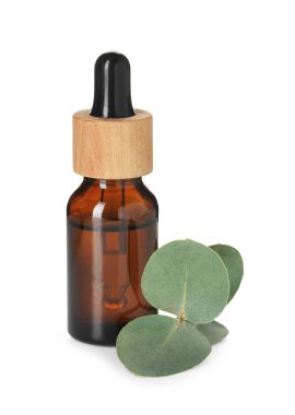 Beyaz üzerine izole edilmiş bir şişe yağ ve okaliptüs yaprakları.