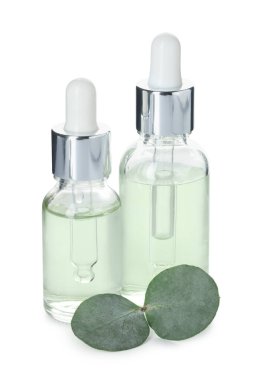 Beyaz üzerine izole edilmiş yağ ve okaliptüs yaprakları şişeleri.