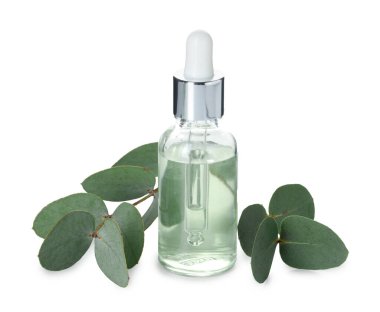 Beyaz üzerine izole edilmiş bir şişe yağ ve okaliptüs yaprakları.