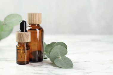 Gerekli yağ ve okaliptüs yaprakları beyaz mermer masanın üzerinde, yakın plan. Metin için boşluk