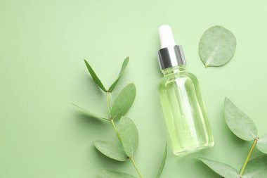 Yeşil arka planda bir şişe esaslı yağ ve okaliptüs yaprağı. Metin için boşluk