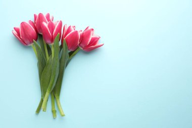 Işıklı arka planda güzel lale çiçekleri, üst manzara. Metin için boşluk