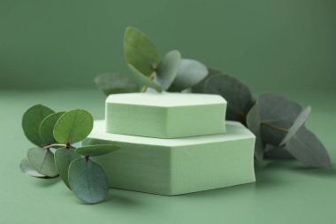 Yeşil zemine karşı podyumda güzel okaliptüs dalları