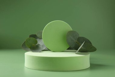 Yeşil zemine karşı podyumda güzel okaliptüs dalları