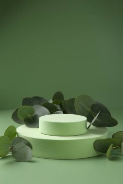 Yeşil arka planda güzel okaliptüs dalları var. Metin için boşluk