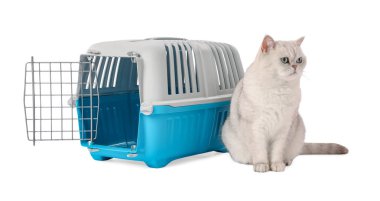 Sevimli kedi ve evcil hayvan taşıyıcısı beyaz üzerinde izole edilmiş.
