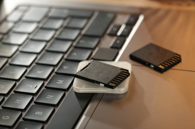 SD hafıza kartları ve dizüstü bilgisayarda sahibi, yakın plan