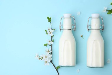 Açık mavi arka planda taze süt şişeleri ve çiçekler, düz. Metin için boşluk