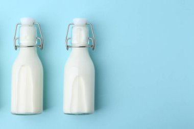 Açık mavi arka planda taze süt şişeleri, düz yatıyordu. Metin için boşluk