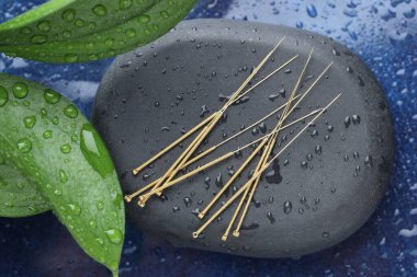 Akupunktur iğneleri, nemli kaplıca taşı ve mavi tepside yapraklar, üst manzara.