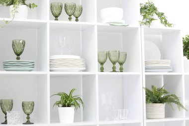 Beyaz duvarın yanındaki raflarda temiz bardaklar, tabaklar ve yeşil bitkiler var.