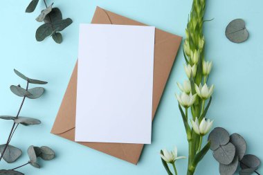 Boş tebrik kartı, kağıt zarf, ornithogalum çiçeği ve açık mavi arkaplanda okaliptüs dalları, düz uzanmış.