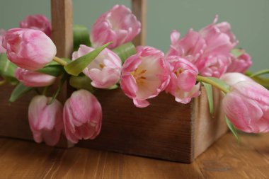 Güzel laleler sepetin içinde ahşap masada açık yeşil arka planda, yakın plan