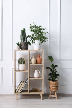Beyaz duvarın yanında ev bitkileri ve diğer dekorlarla raf ünitesi.