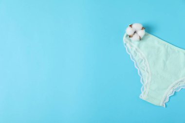 Kadın iç çamaşırı. Açık mavi arka planda güzel külotlar ve pamuk çiçeği, üst manzara. Metin için boşluk
