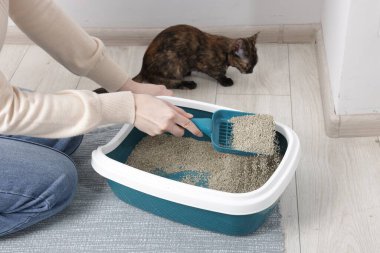 Kedi kumu kutusunu kepçeyle temizleyen kadın, yakın çekim.