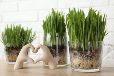 Şeffaf kaplarda buğday çimeni ve beyaz tuğla duvarın yanındaki ahşap masada dekor.