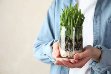 Arka planda şeffaf tencerede buğday çimeni olan kadın, yakın plan. Metin için boşluk