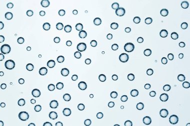 Arka planda köpüklü soda, yakın plan