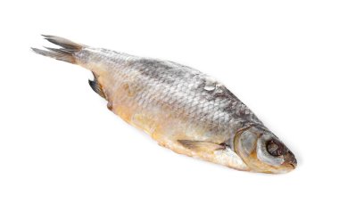Beyaz üzerine izole edilmiş kurutulmuş tuzlanmış böcek balığı.