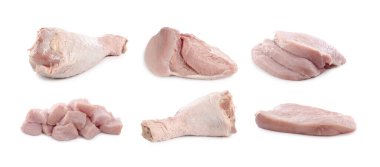 Beyazlara ayrılmış taze çiğ hindi eti.