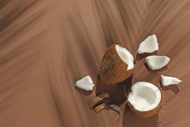 Taze hindistan cevizi ve bej arka planda tropikal palmiye gölgesi, düz yatış. Metin için boşluk