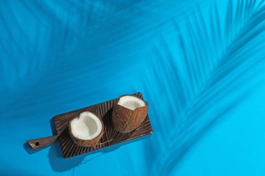 Açık mavi arka planda tropikal palmiye ağacından taze hindistan cevizi ve gölge, üst manzara. Metin için boşluk