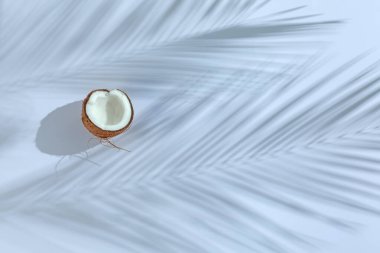 Taze hindistan cevizi ve gölgenin yarısı açık gri arka planda tropikal palmiyeler tarafından oluşturuldu. Metin için boşluk