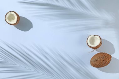 Taze hindistan cevizleri ve açık gri arka planda tropikal palmiyelerin oluşturduğu gölgeler düzleşir. Metin için boşluk