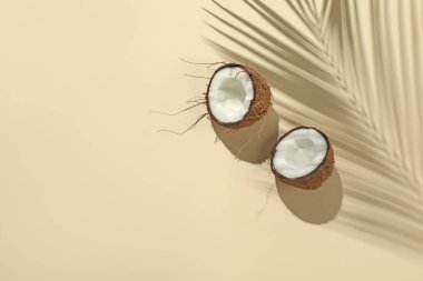 Taze hindistancevizi ve gölgesi bej arka planda tropikal palmiye tarafından yapılmış, üst görünüm. Metin için boşluk