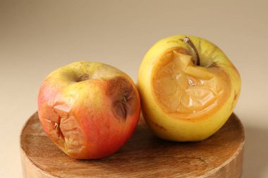 Bej arka planda iki çürük elma, yakın plan.