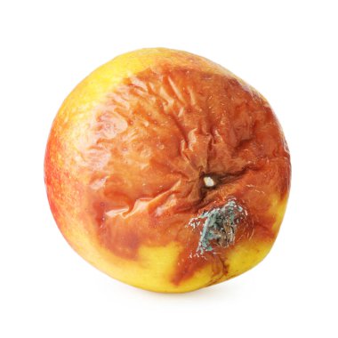 Bir çürük elma beyazda izole edilmiş.