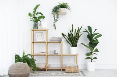 Farklı ev bitkileri ve dekorları olan raf ünitesi.