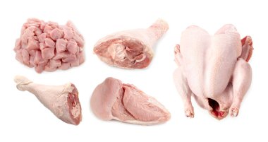 Beyazlara ayrılmış taze çiğ hindi eti.