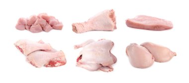 Beyazlara ayrılmış taze çiğ hindi eti.