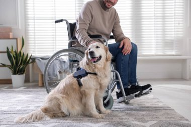 Tekerlekli sandalyedeki adam, servis köpeği evde, yakın plan.