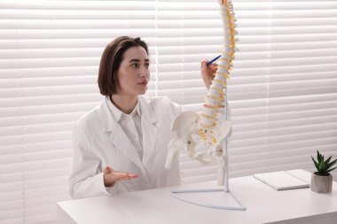 Doktor, klinikteki masadaki insan omurga modeline işaret ediyor.