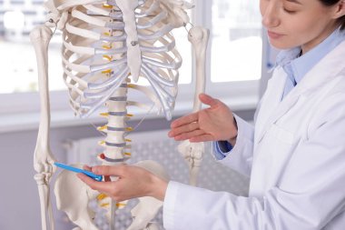 Doktor klinikteki insan iskeleti modelinin bölümlerini gösteriyor.