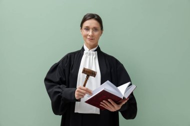 Açık yeşil arkaplan üzerine kitap ve çekiçle yargıç