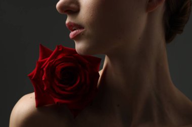 Gri arka planda gül çiçeği olan kadın, yakın plan.