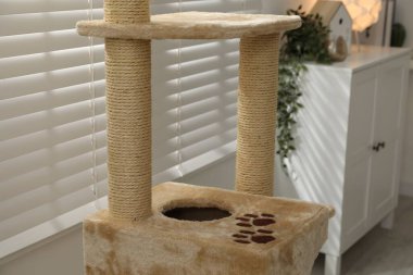 Şık kedi ağacı ve çekmeceler oturma odasında.