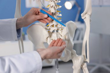 Doktor klinikteki insan iskeleti modelinin bölümlerini gösteriyor.