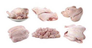 Beyazlara ayrılmış taze çiğ hindi eti.