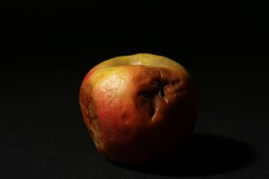 Siyah arka planda bir çürük elma, yakın plan.